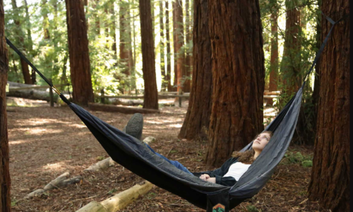 Hammock Gift